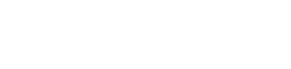 Salesviewer Salesviewer